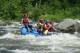 Thumbs/tn_Img_4235.jpg
