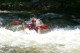 Thumbs/tn_Img_4355.jpg
