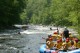 Thumbs/tn_Img_4406.jpg