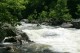 Thumbs/tn_Img_4411.jpg