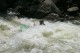 Thumbs/tn_Img_4443.jpg