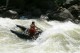 Thumbs/tn_Img_4477.jpg
