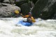 Thumbs/tn_Img_4529.jpg