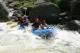 Thumbs/tn_Img_4585.jpg