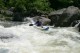 Thumbs/tn_Img_4641.jpg