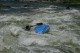 Thumbs/tn_Img_4653.jpg