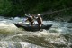 Thumbs/tn_Img_4739.jpg
