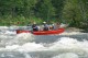 Thumbs/tn_Img_4754.jpg