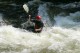 Thumbs/tn_Img_4915.jpg