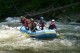 Thumbs/tn_Img_4942.jpg