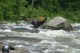 Thumbs/tn_Img_5028.jpg