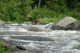 Thumbs/tn_Img_5545.jpg