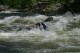 Thumbs/tn_Img_5805.jpg