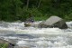 Thumbs/tn_Img_5832.jpg