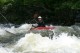 Thumbs/tn_Img_5895.jpg