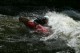 Thumbs/tn_Img_5960.jpg