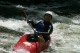 Thumbs/tn_Img_5978.jpg