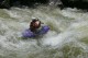 Thumbs/tn_Img_5985.jpg