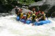 Thumbs/tn_Img_6073.jpg