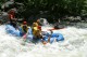 Thumbs/tn_Img_6100.jpg