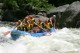 Thumbs/tn_Img_6135.jpg