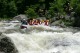 Thumbs/tn_Img_6208.jpg