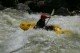 Thumbs/tn_Img_6224.jpg