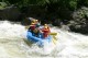 Thumbs/tn_Img_6231.jpg