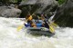 Thumbs/tn_Img_6237.jpg