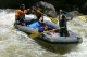 Thumbs/tn_Img_6239.jpg