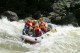 Thumbs/tn_Img_6246.jpg