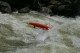 Thumbs/tn_Img_6268.jpg