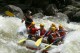 Thumbs/tn_Img_6275.jpg