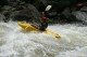Thumbs/tn_Img_6301.jpg