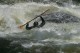 Thumbs/tn_Img_6388.jpg