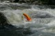 Thumbs/tn_Img_6401.jpg