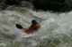 Thumbs/tn_Img_6453.jpg