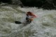 Thumbs/tn_Img_6454.jpg