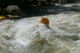 Thumbs/tn_Img_6929.jpg