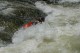 Thumbs/tn_Img_6955.jpg