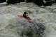 Thumbs/tn_Img_6959.jpg