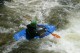 Thumbs/tn_Img_7010.jpg