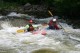 Thumbs/tn_Img_8249.jpg