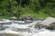 Thumbs/tn_Img_8331.jpg