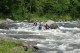 Thumbs/tn_Img_8335.jpg