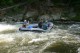 Thumbs/tn_Img_8342.jpg