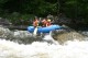 Thumbs/tn_Img_8345.jpg