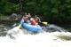 Thumbs/tn_Img_8348.jpg
