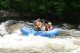 Thumbs/tn_Img_8352.jpg