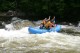 Thumbs/tn_Img_8355.jpg